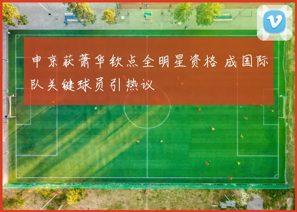 申京获萧华钦点全明星资格 成国际队关键球员引热议