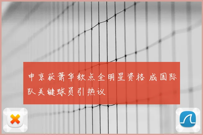 申京获萧华钦点全明星资格 成国际队关键球员引热议